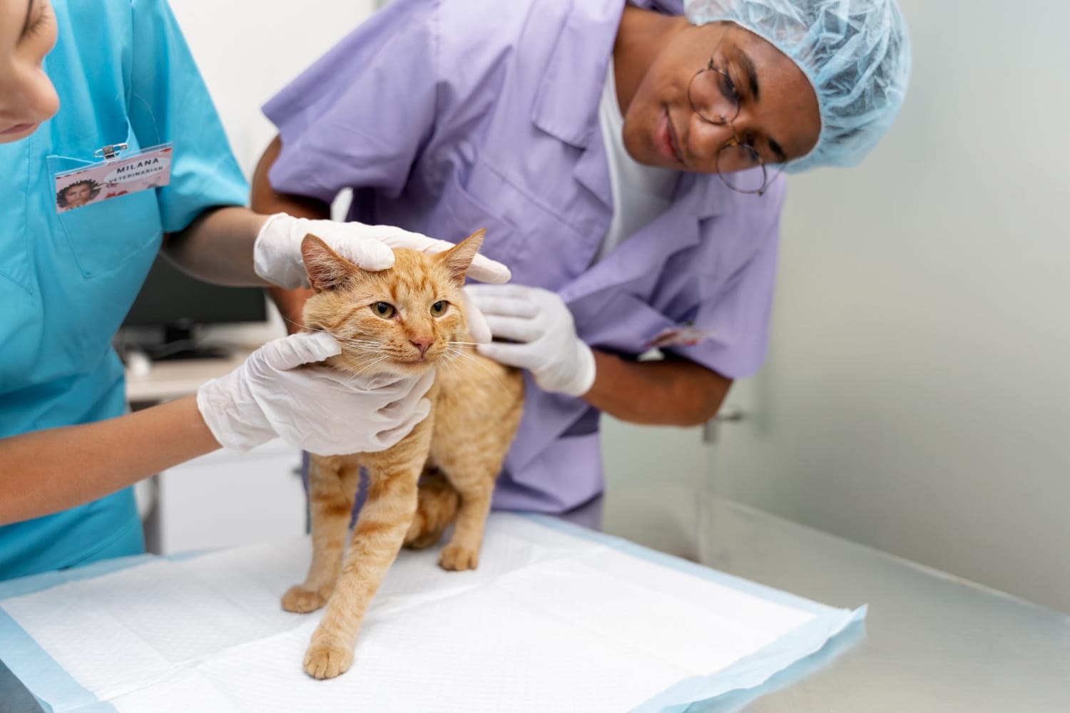 Skin, Ear & Allergy Care at Veterinary Medical Centers in Northern Kentucky