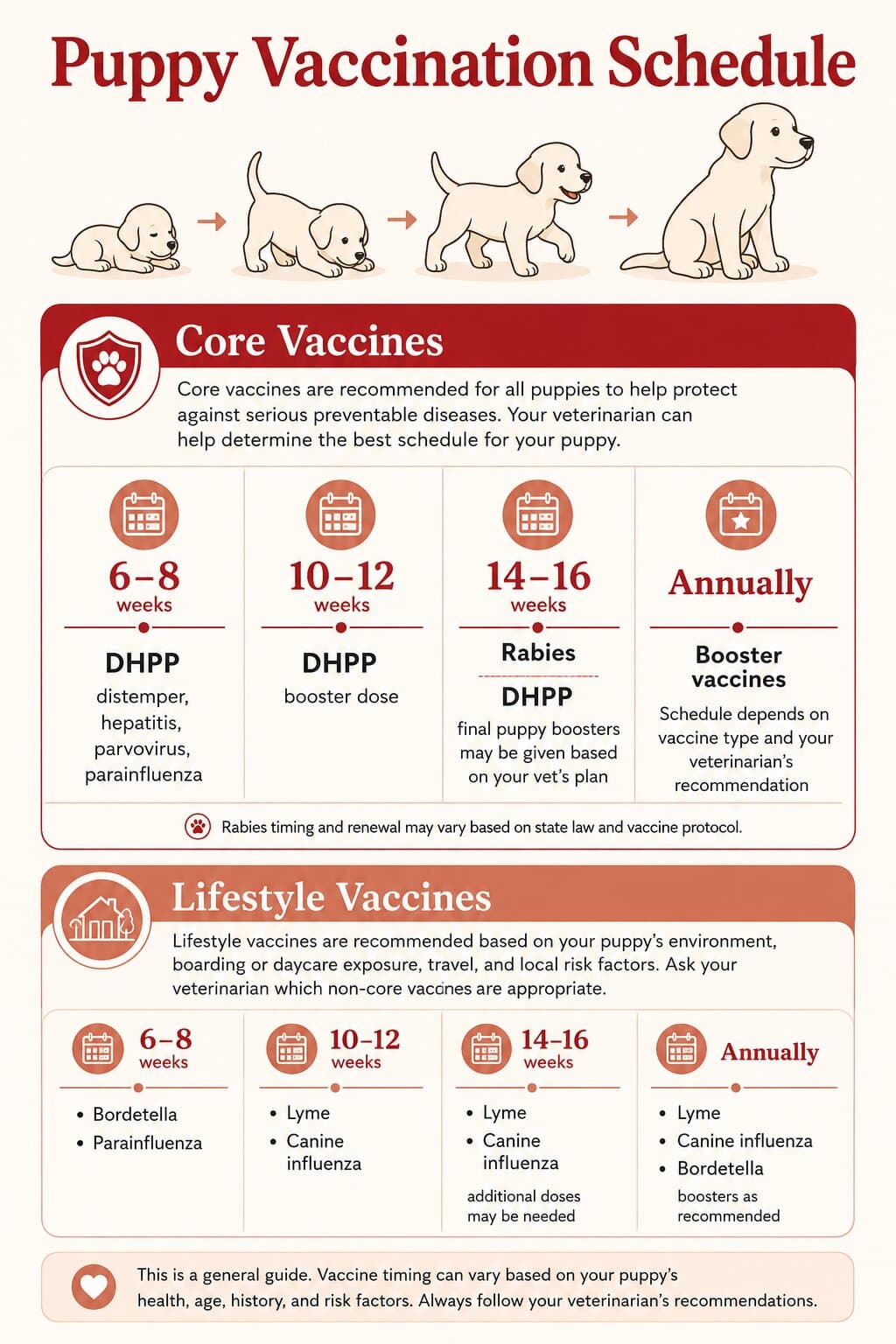 Puppy & Kitten Care at Veterinary Medical Centers in Northern Kentucky