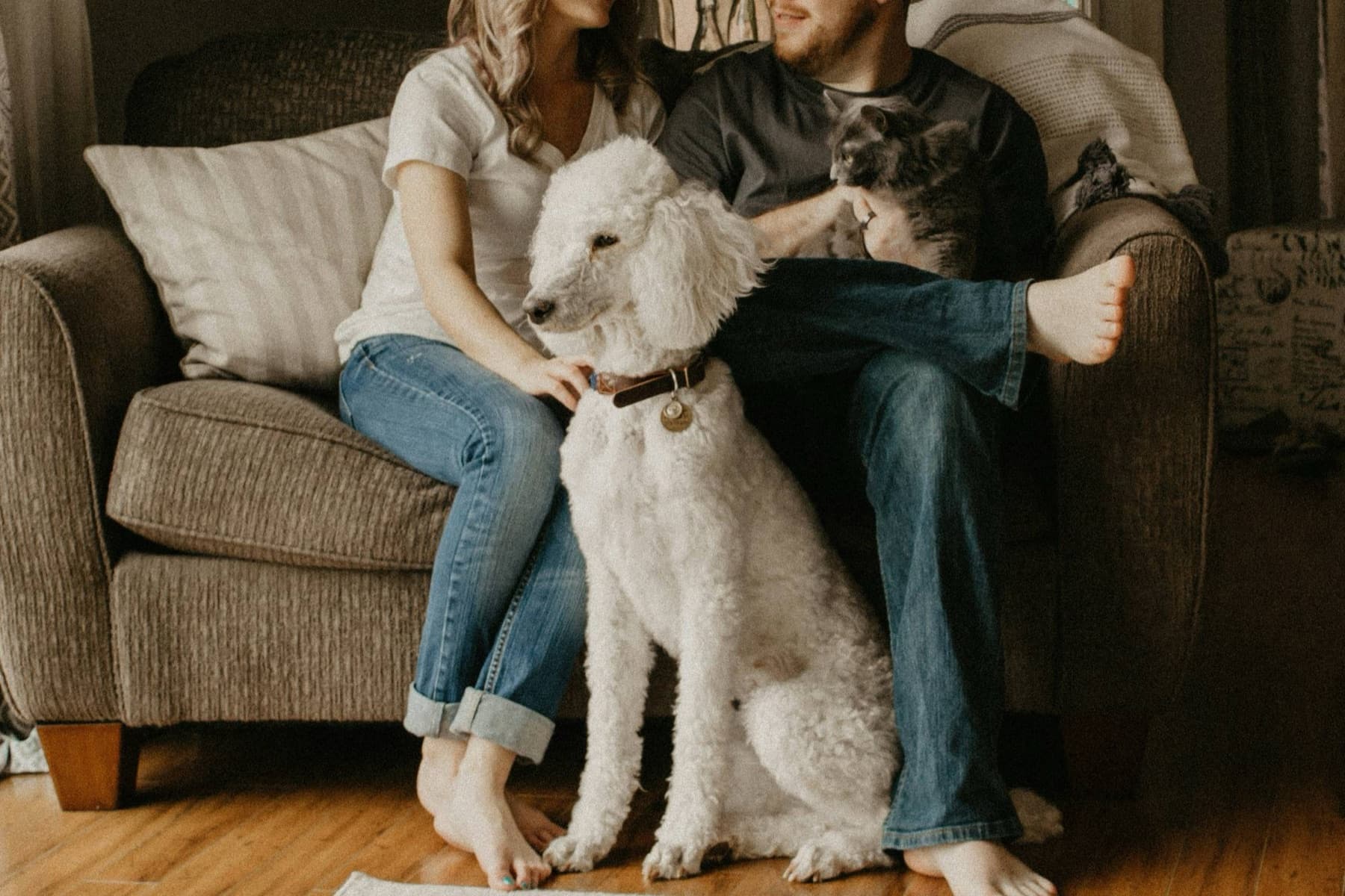 Couple at home with their dog and cat