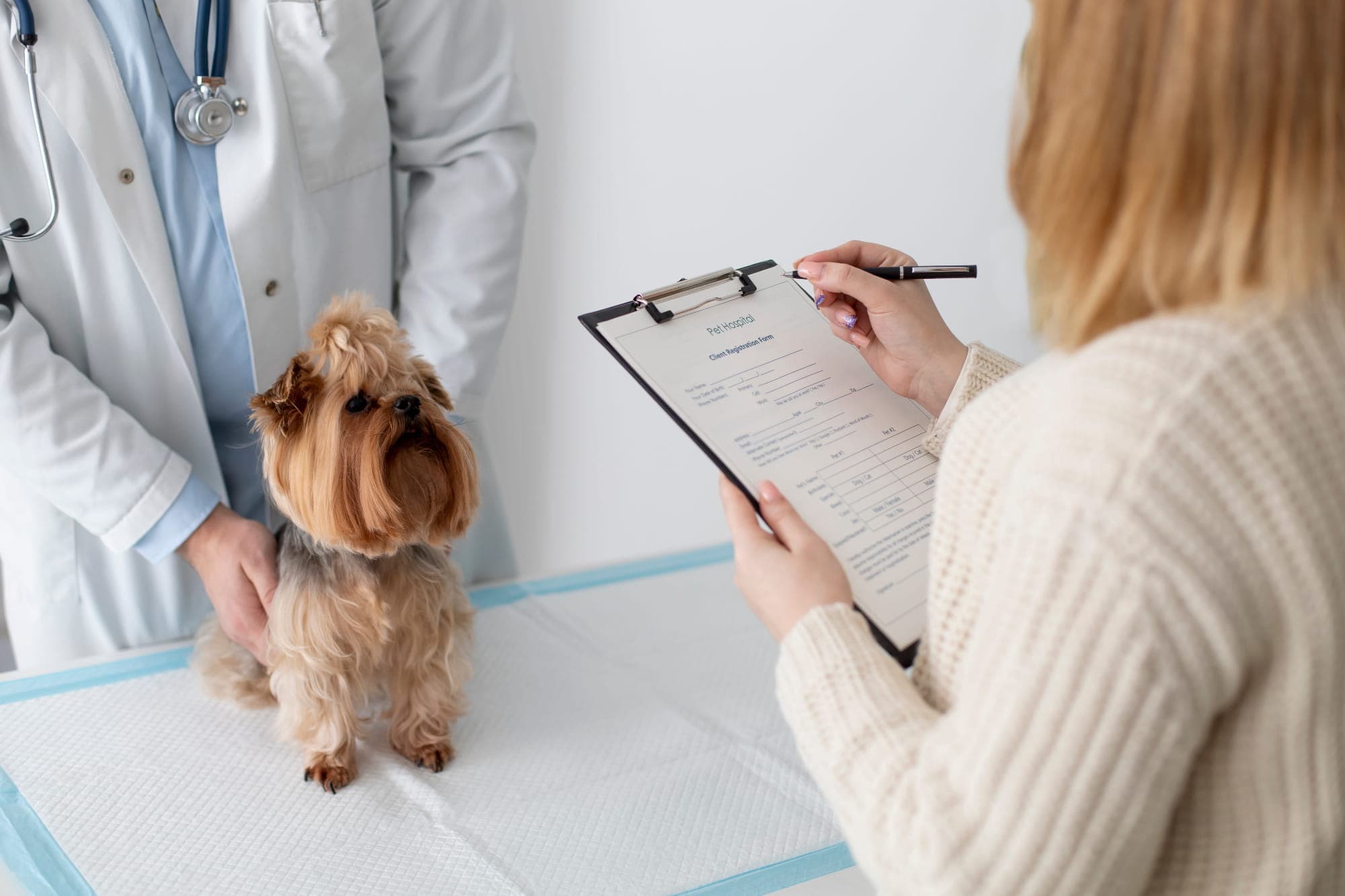 Veterinarian and pet owner reviewing appointment information with a dog